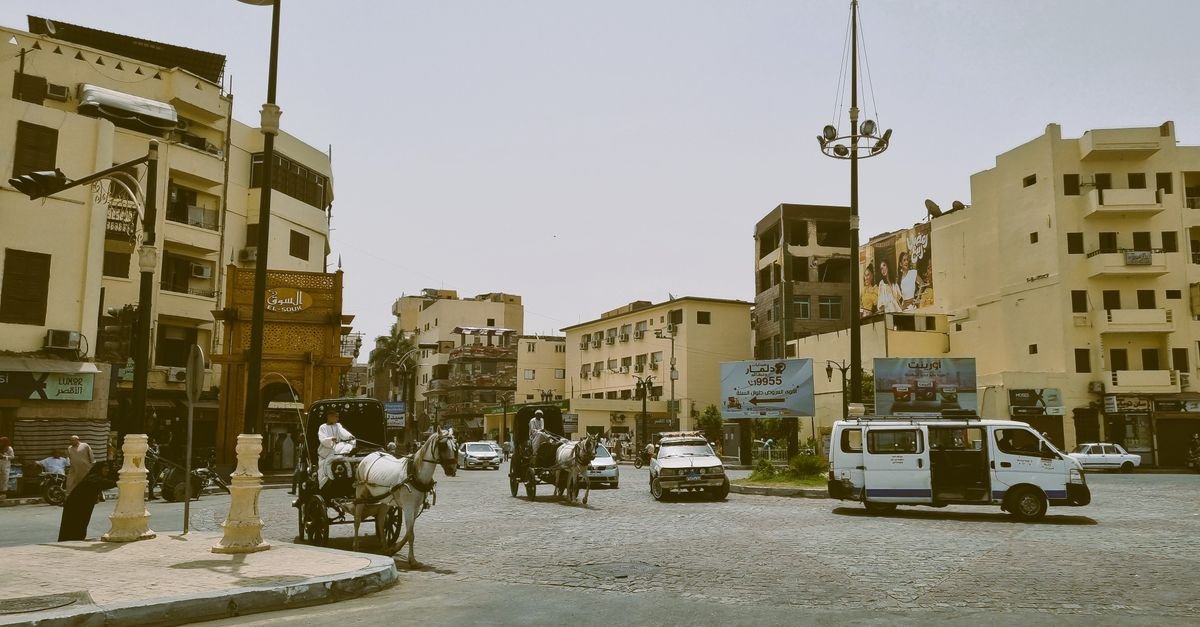Aswan City Tour by Horse Carriage