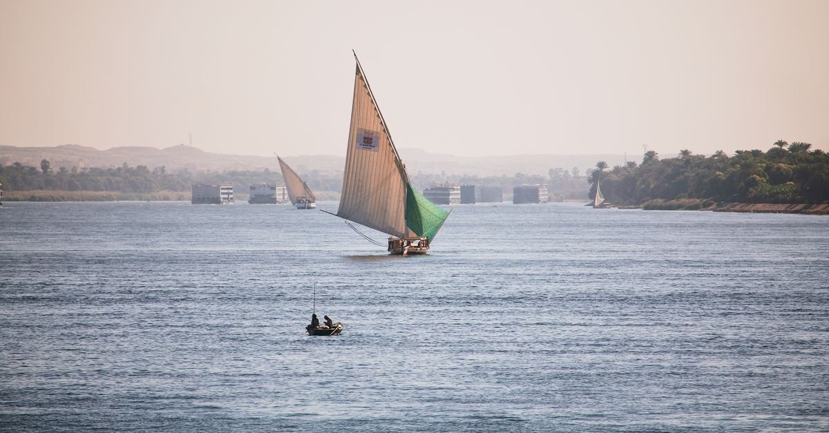 Felucca Sail to Kitchener's Botanical Island – photo 5