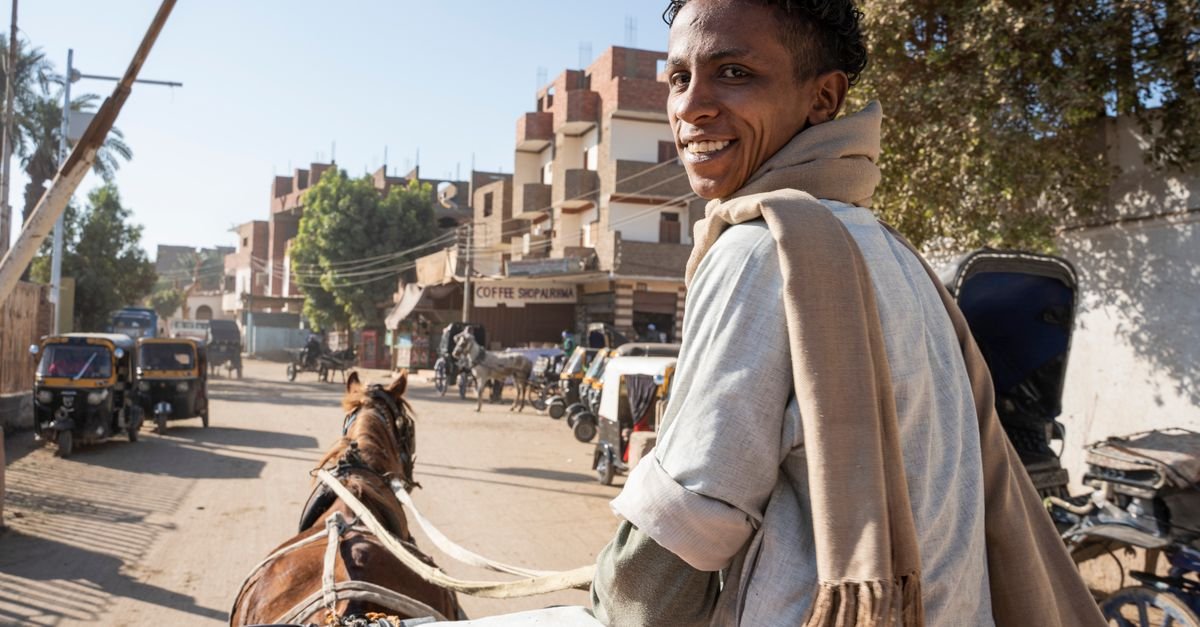 Luxor City Tour by Horse Carriage – photo 2
