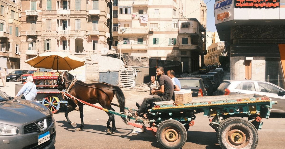 Luxor City Tour by Horse Carriage – photo 3
