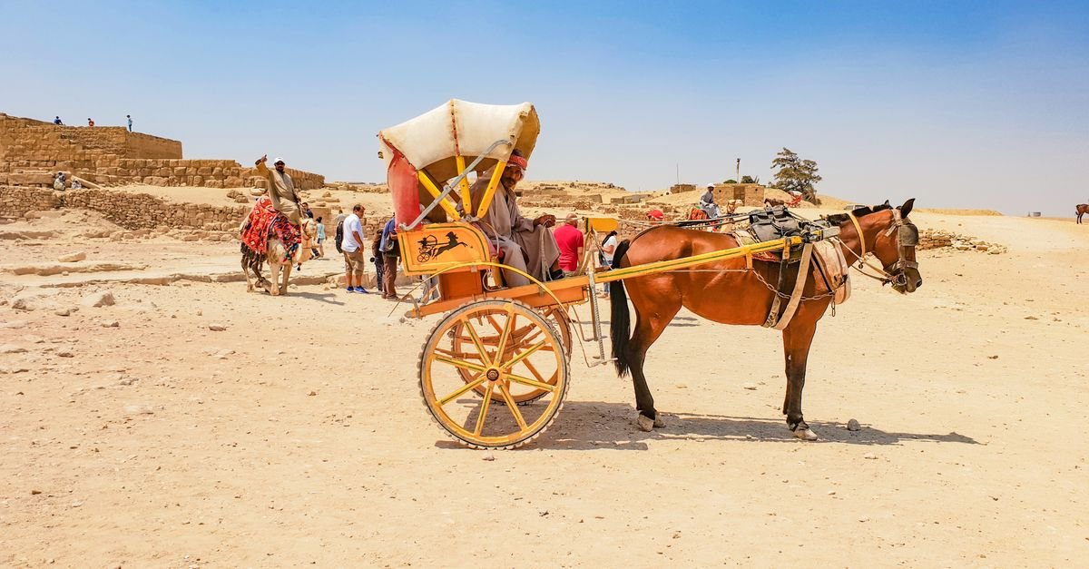 Luxor City Tour by Horse Carriage – photo 4