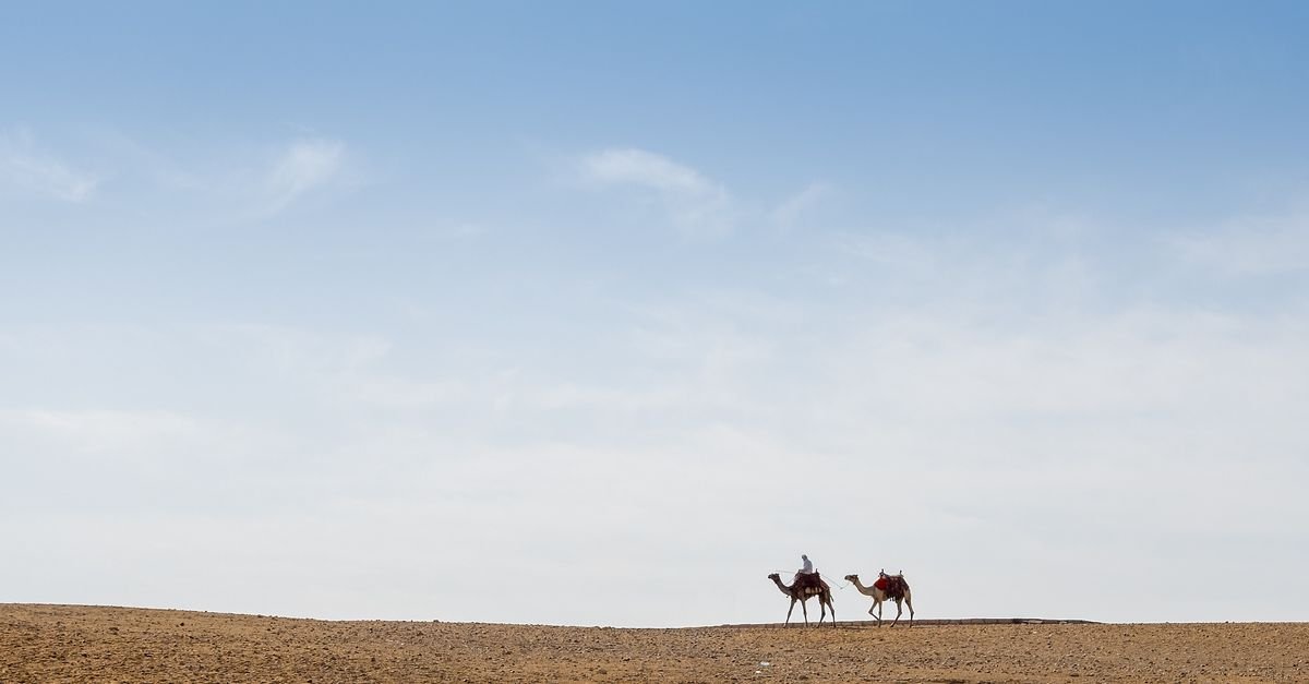 Luxor West Bank Camel Ride – photo 3