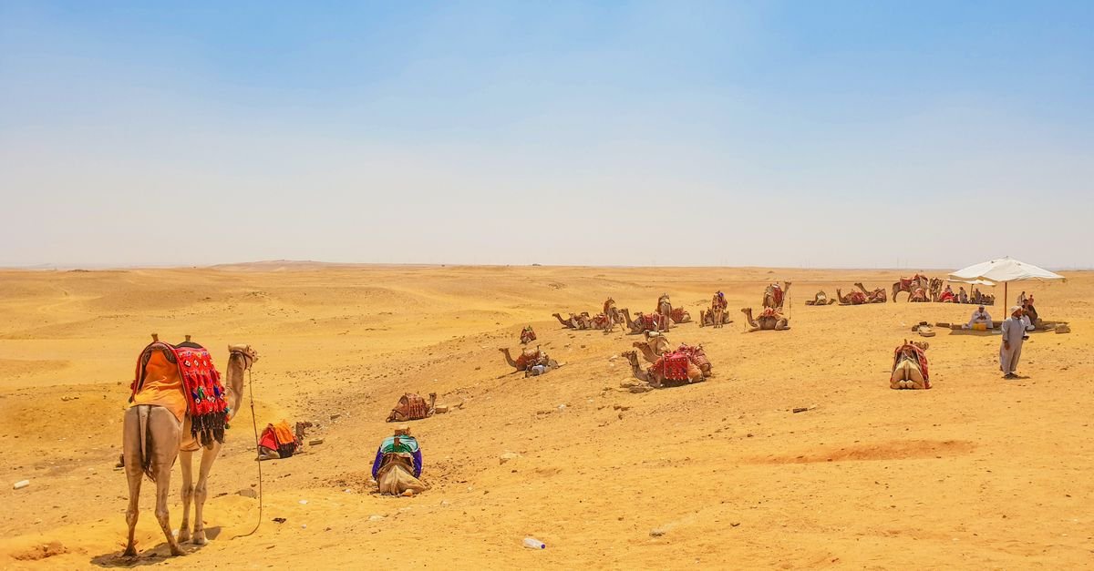 Luxor West Bank Camel Ride – photo 6