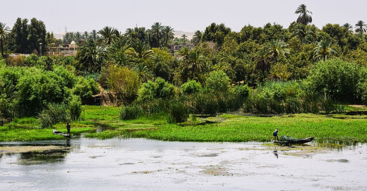Private Transfer from Aswan to Luxor – photo 2