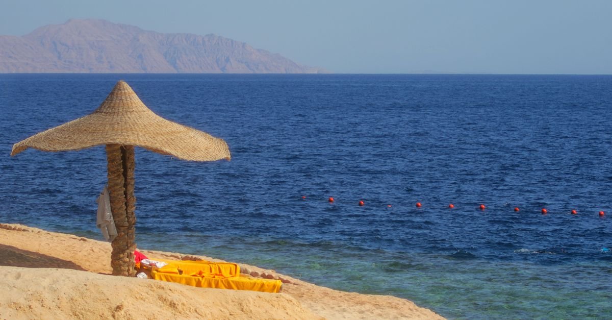 Sehel Island & New Kalabsha Tour – photo 6